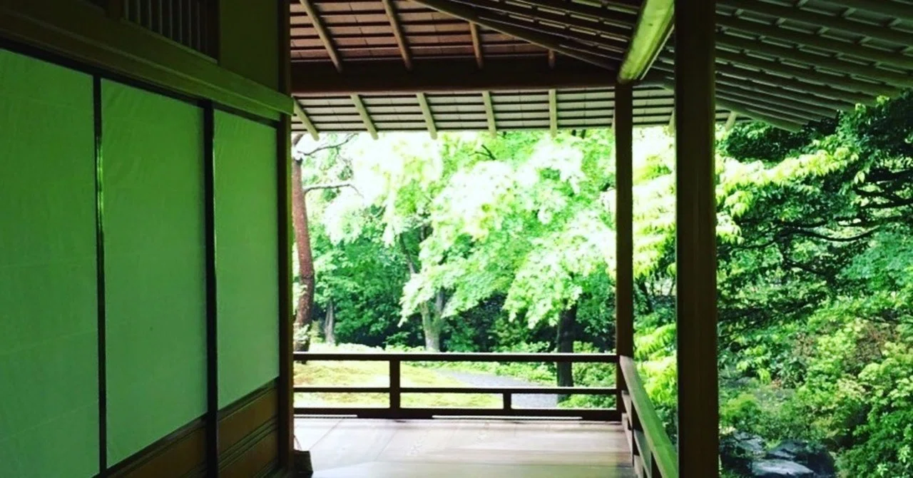おうちDE茶の湯④ - 自然と共生する｜保科 眞智子