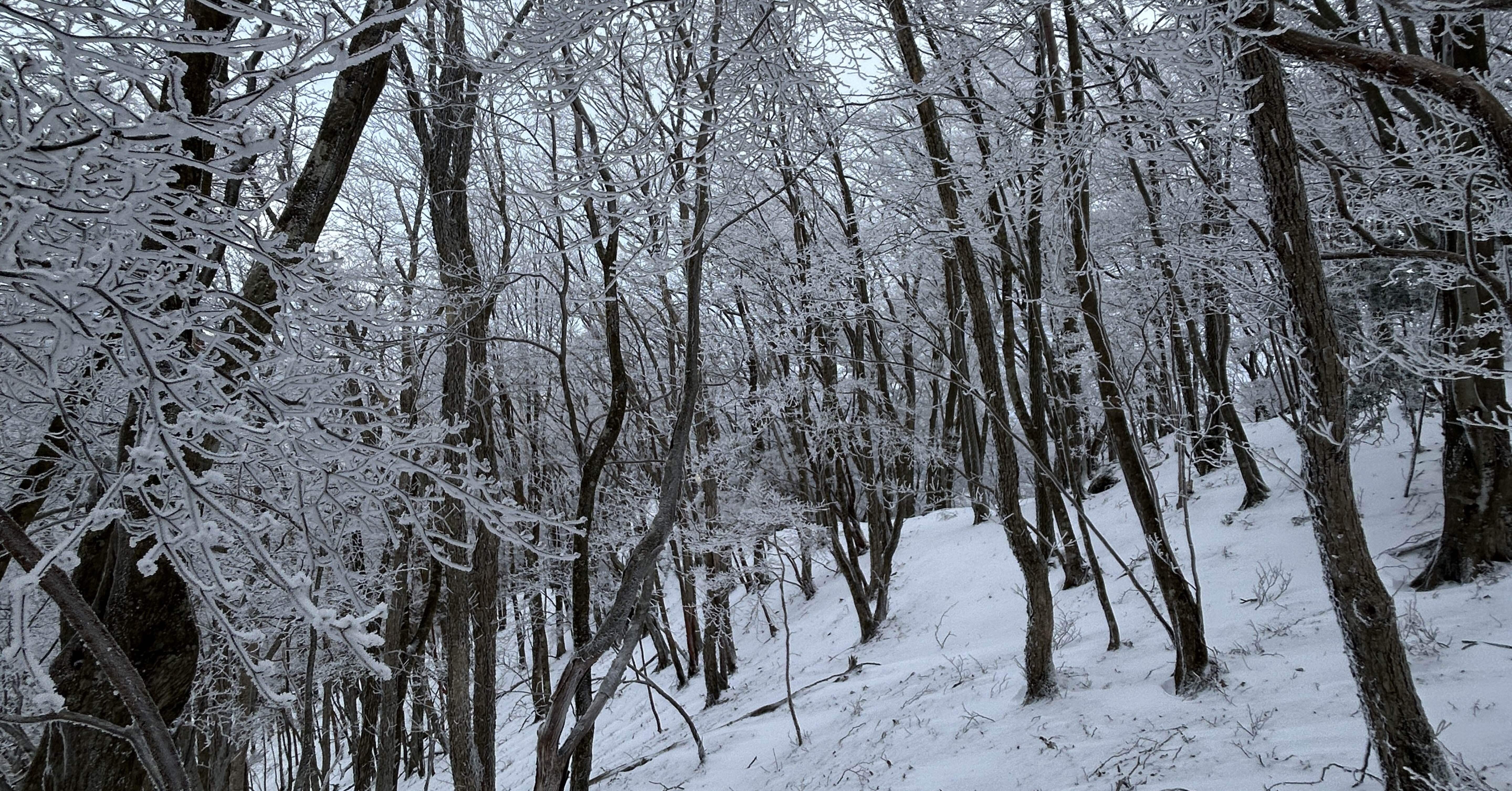 雪山の醍醐味 高見山｜mountain go