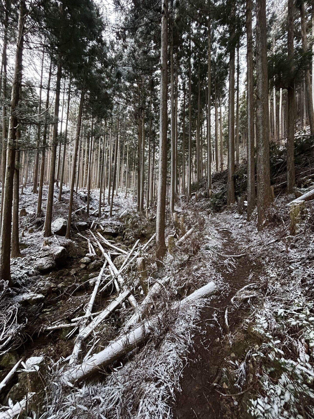 雪山の醍醐味 高見山｜mountain go