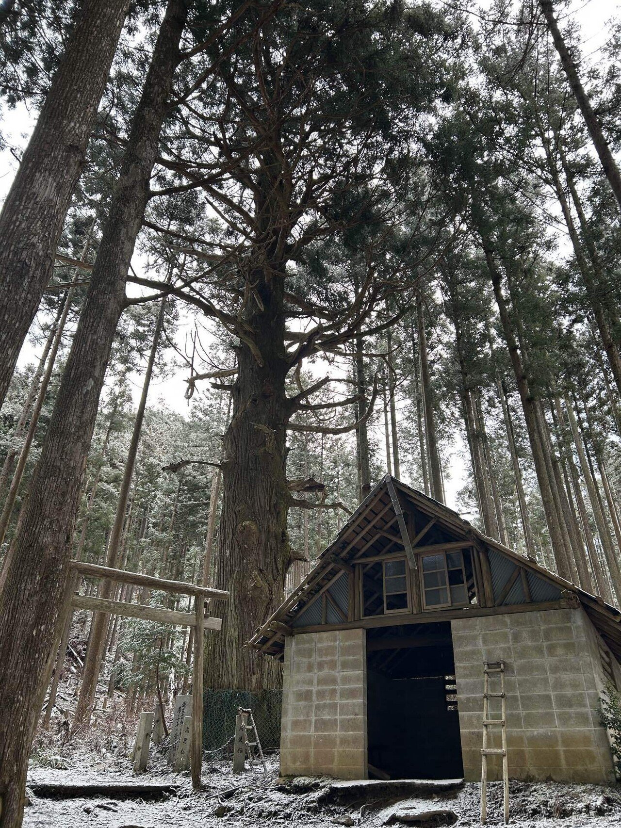 雪山の醍醐味 高見山｜mountain go