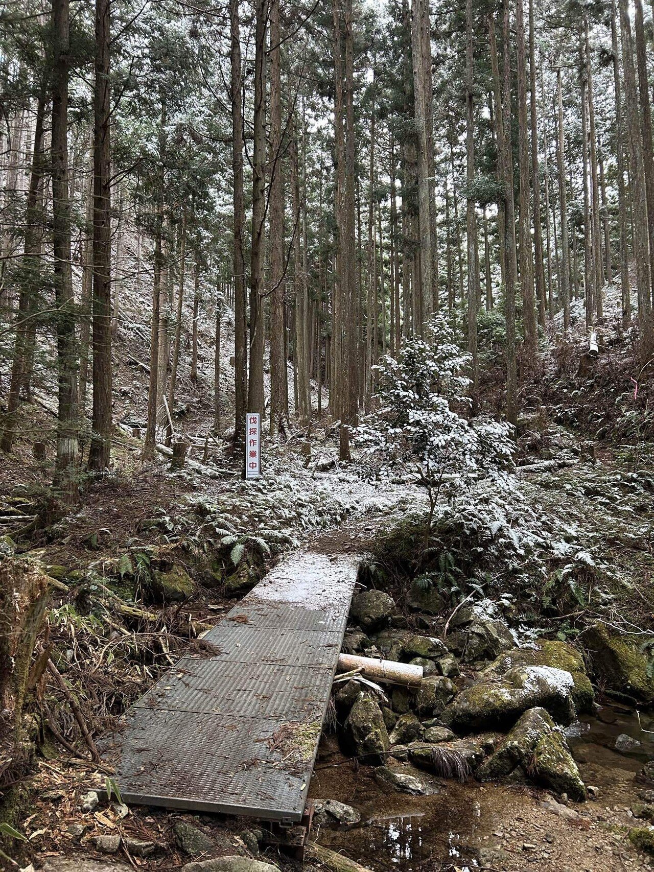 雪山の醍醐味 高見山｜mountain go