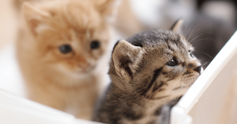 人から時間を奪う方法 2020 04ver カ note