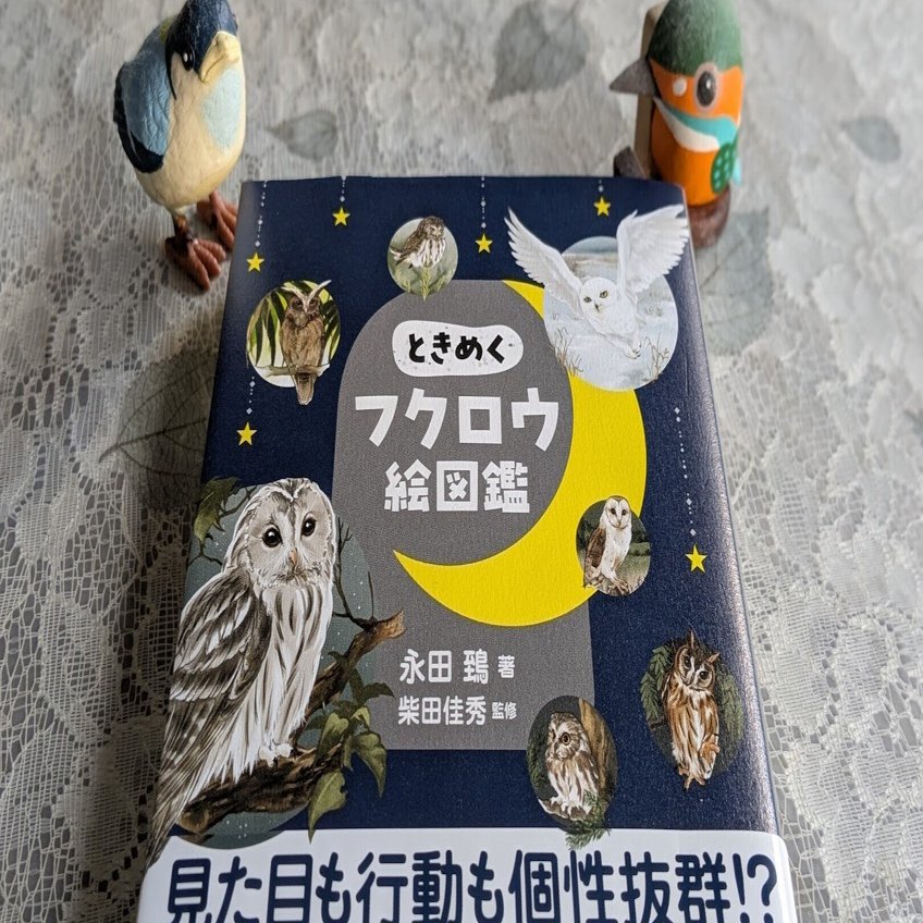 なんかよく分からないフクロウ なんかよく分からないフクロウ なんかよく分からないフクロウ なんか