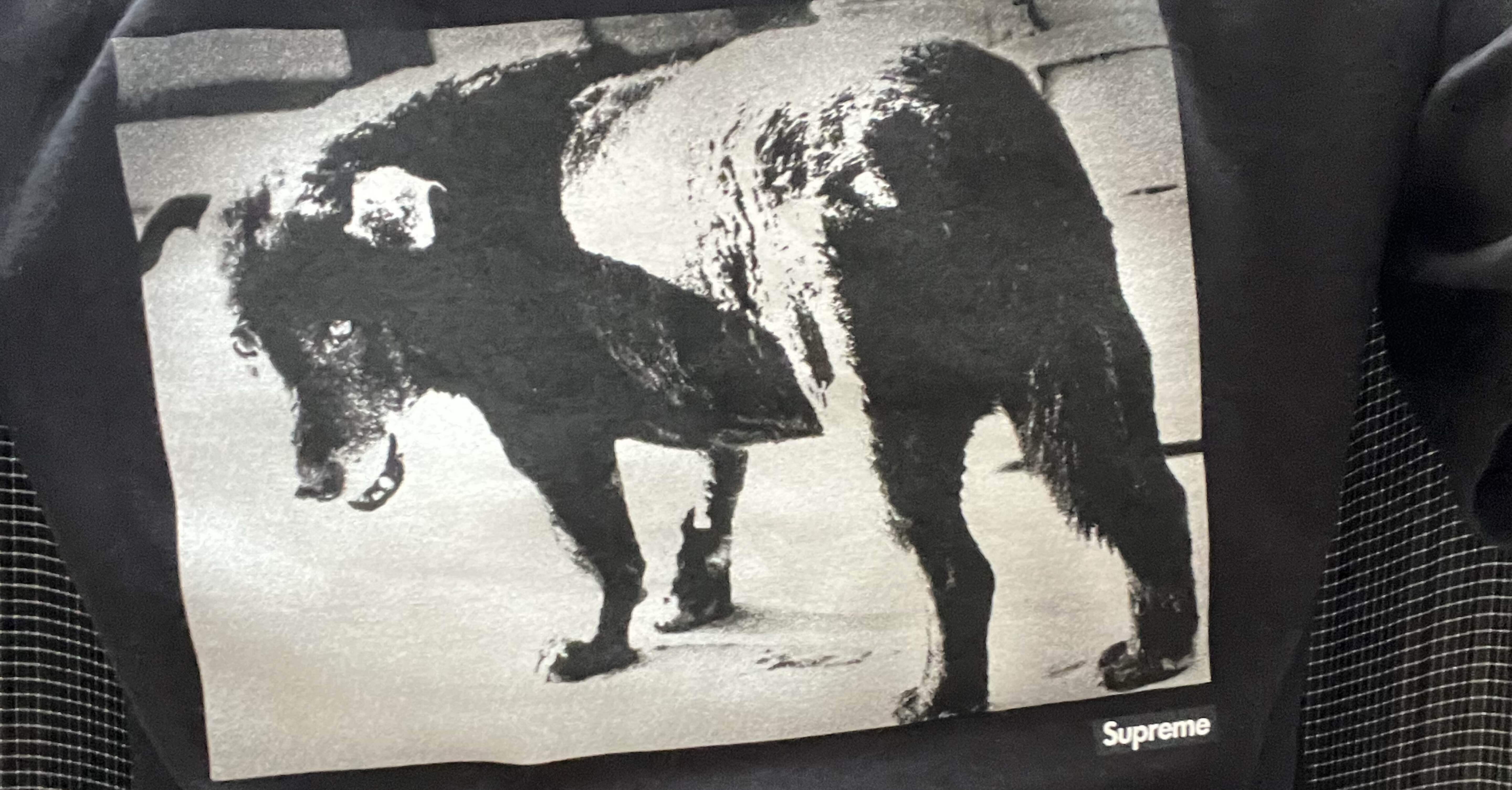 Daido Moriyama/Stray Dog｜Koji