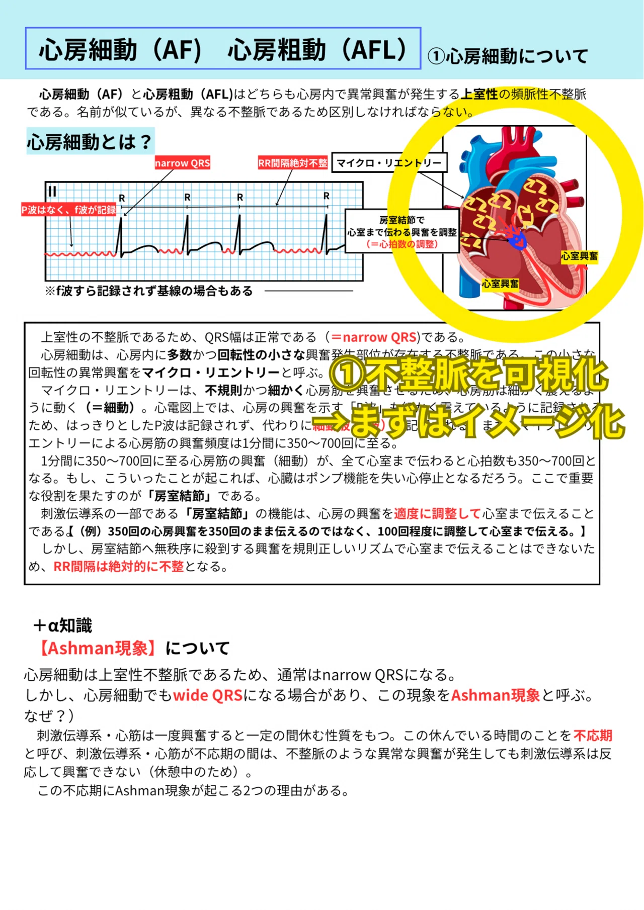 🔰【ゴリ分かる心電図】 フルセット｜ゴリ分かる心電図