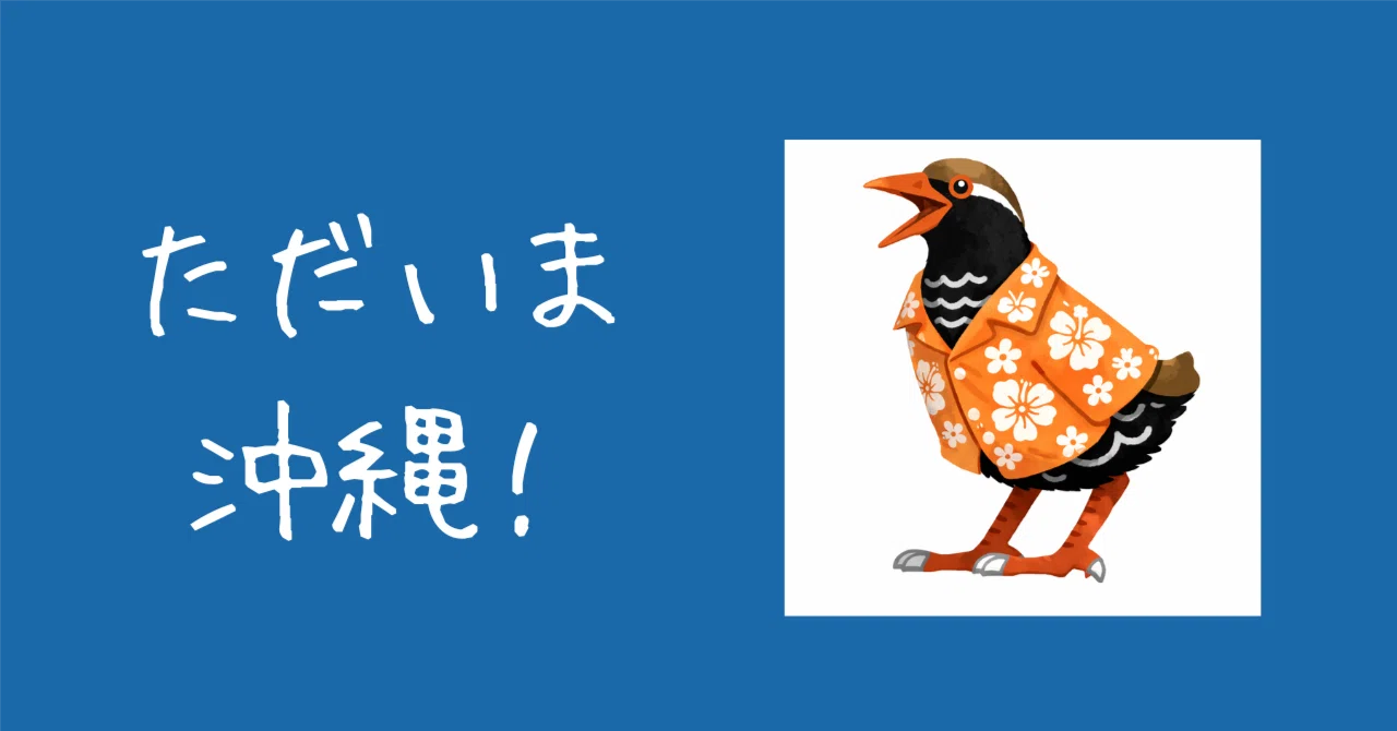 新刊】2度目の沖縄移住エッセイ『ただいま沖縄！』をつくりました