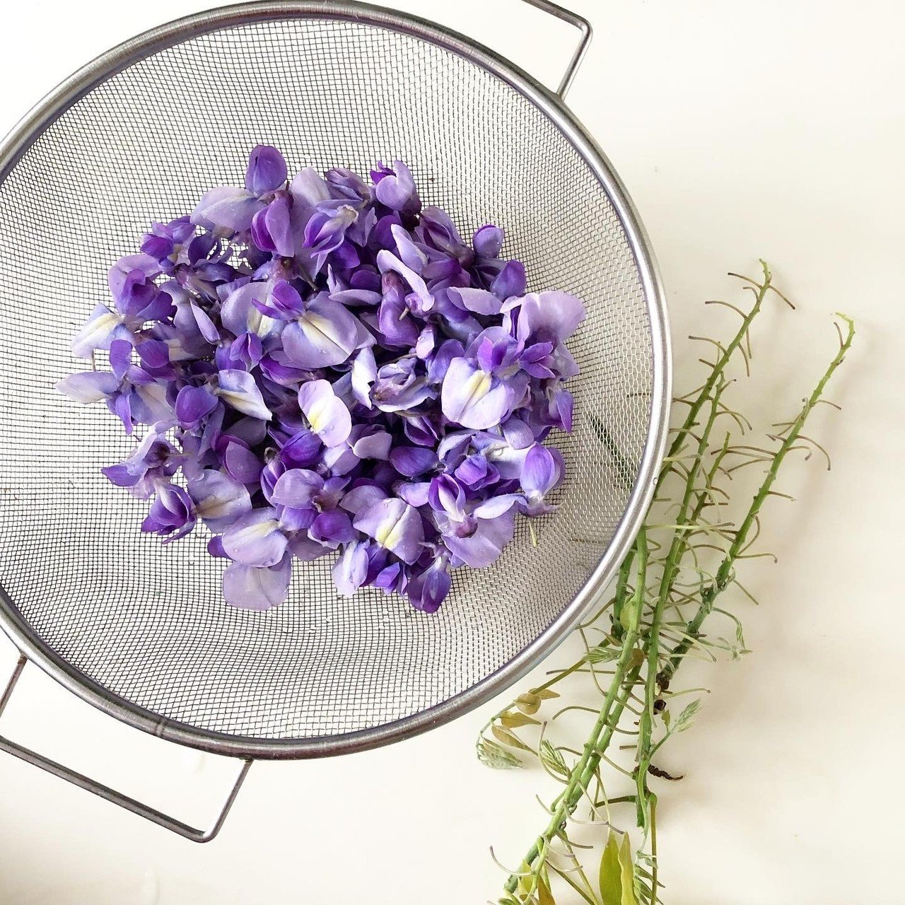 麗しい香りの 藤の花漬け レシピ Miki Usami Note 麗しい香りの 藤の花漬け レシピ Miki Usami Note