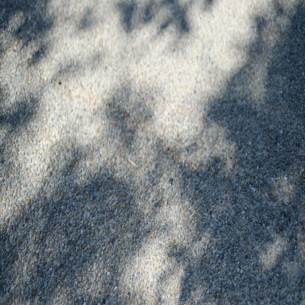 自己紹介|2026｜田貫