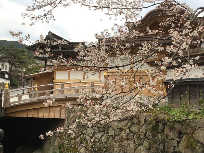 高野山 桜だより 05 10 高野山法徳堂 空海と高野山の魅力を独自の視点で伝えています Note