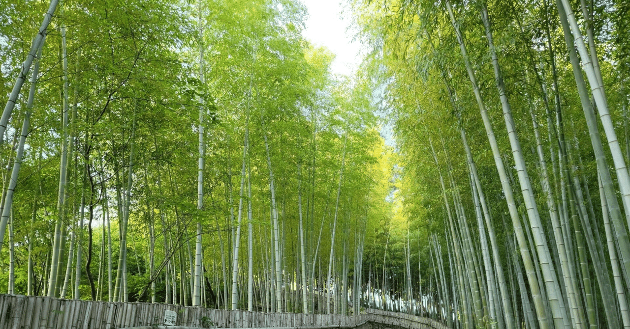 １月７日１５時、メディシノバ６日ナスダック 出来高が２万株？大幅な減り方、７日の東京市場は機関？の売りあおり担当も、投稿を全くしていない。大きなIRが近づくと、機関投資家はインサイダーを疑われると困るので｜kuronekomarimo