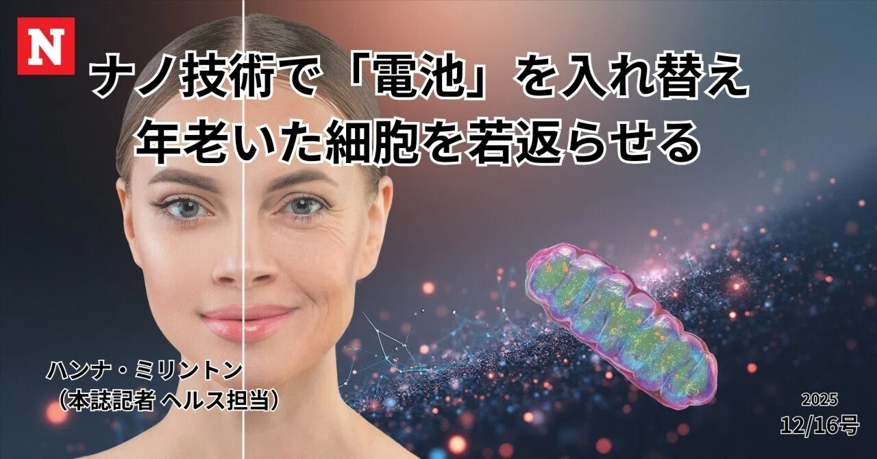 ミトコンドリア刷新で細胞が若返る可能性老化関連疾患治療の新