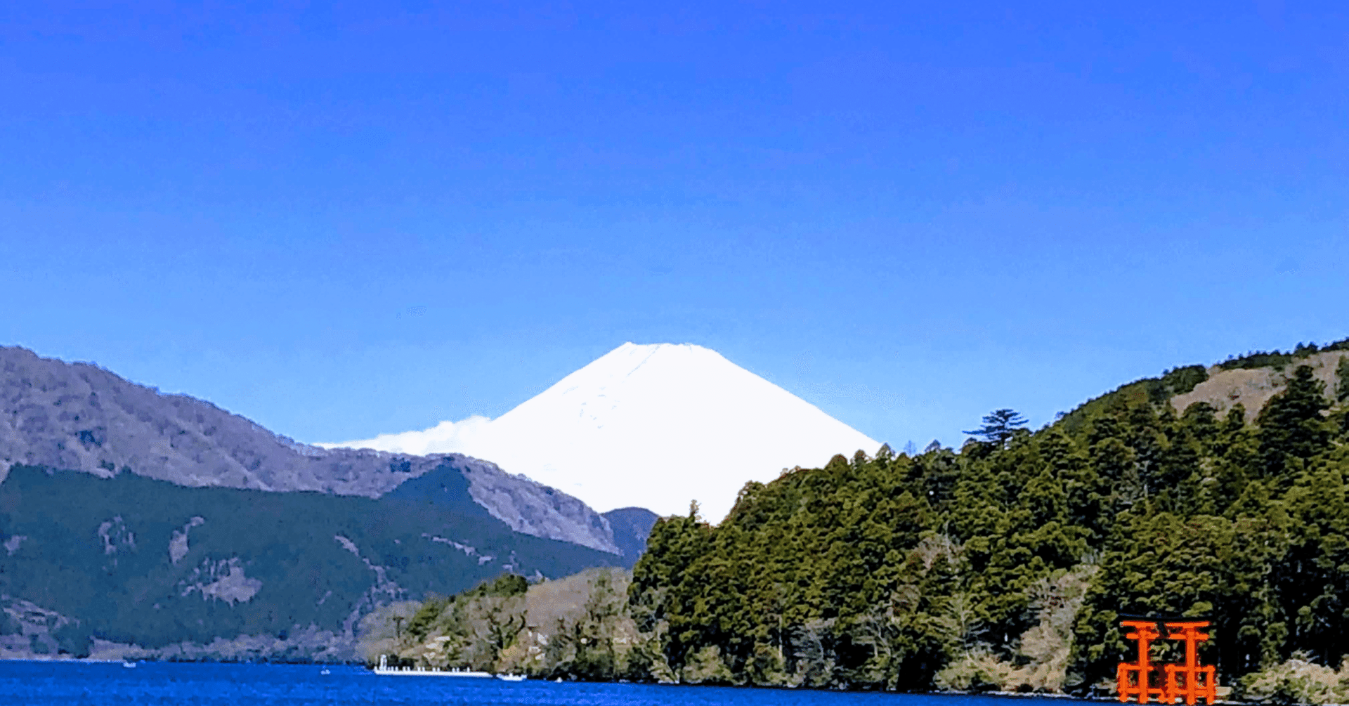 メディシノバ に何か大きなことが起きると予感した、2025年7月からのスピリチュアルな出来事から、わからない言葉が出てきてそれに関する情報を検証しているうちに、AIに質問しまくることを覚えた。ガンの治験結｜kuronekomarimo