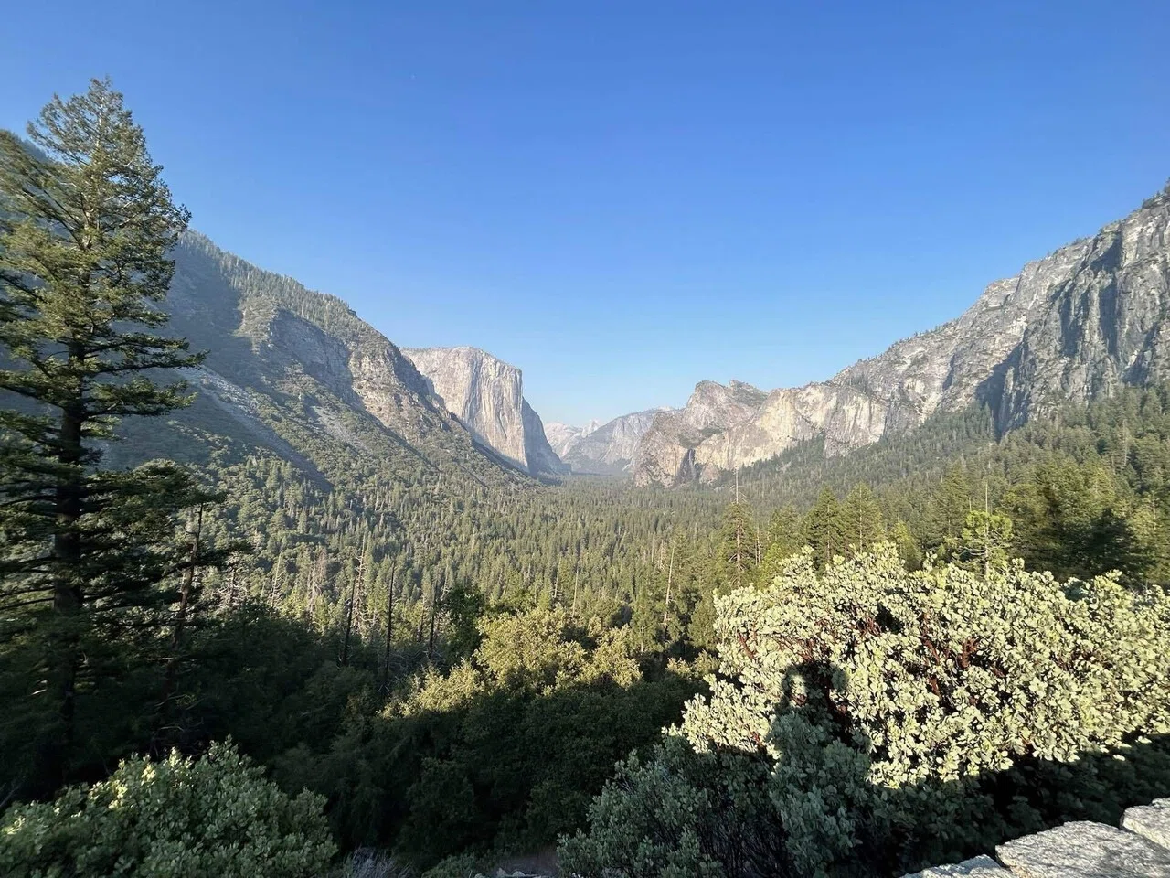 ヨセミテ国立公園【Yosemite National Park】〜白岩と緑が映える世界