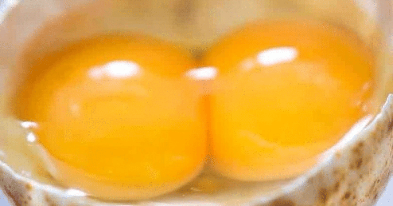 二黄卵 解説！】卵の中に黄身が2つ！「二黄卵」の神秘と確率の真実｜ひめ