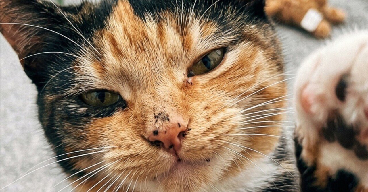 Googleが生成した混沌｜クリプトカレンシー/よしくん