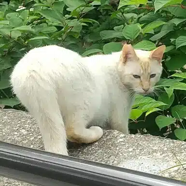 ビビリデイトレ初心者🔰 VIVIRI