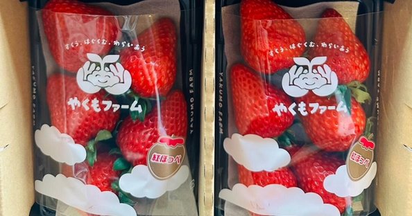 やくもファーム公式｜note