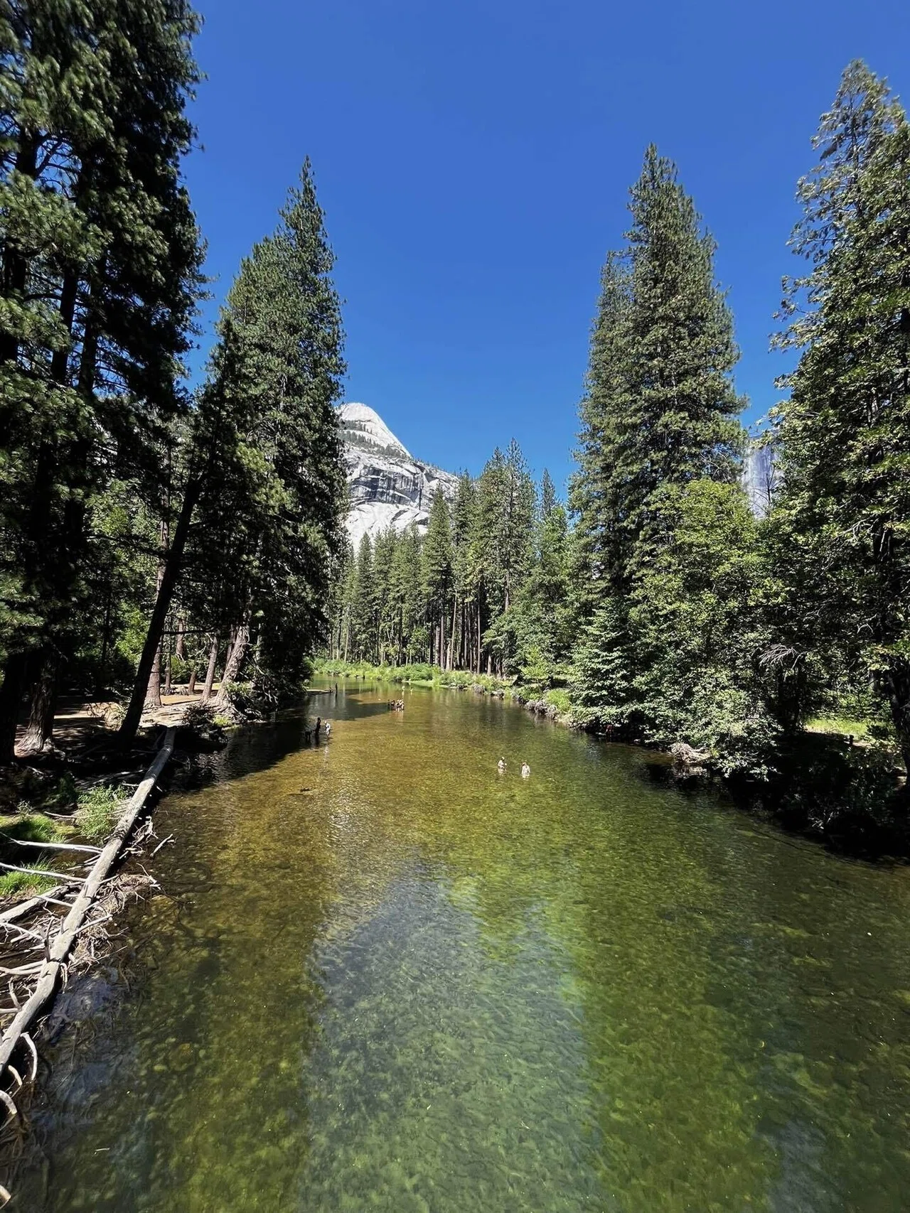 ヨセミテ国立公園 写真集 100年間 Yosemite 洋書 20230607025840_1820781408_2762