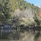 tapper_4444