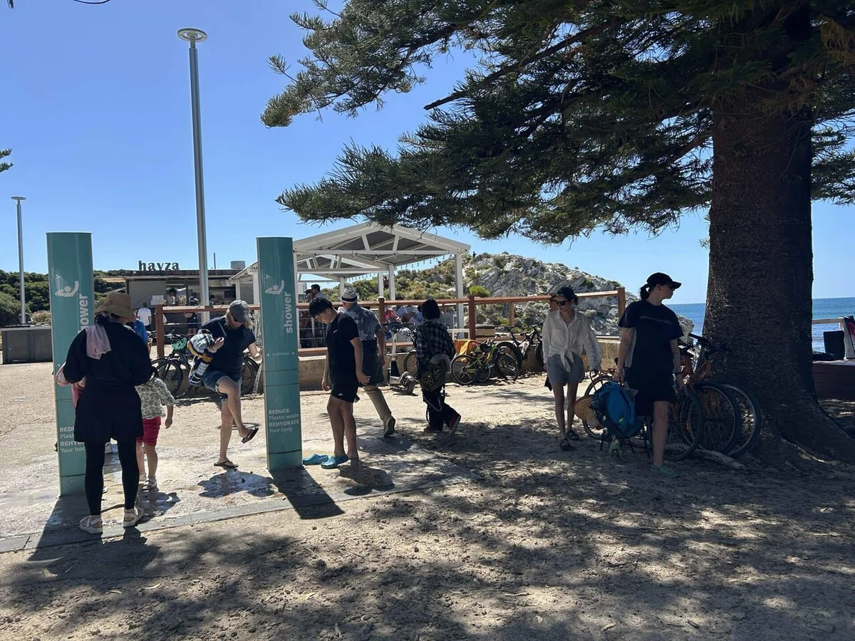 [I don't really want to tell you] Perth 🇦🇺 Rottnest Island | Top 5 ...
