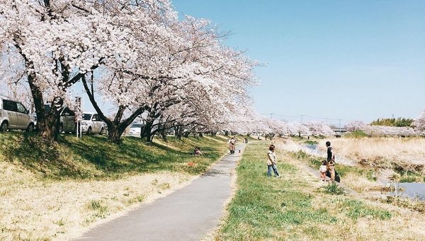 日々是好日