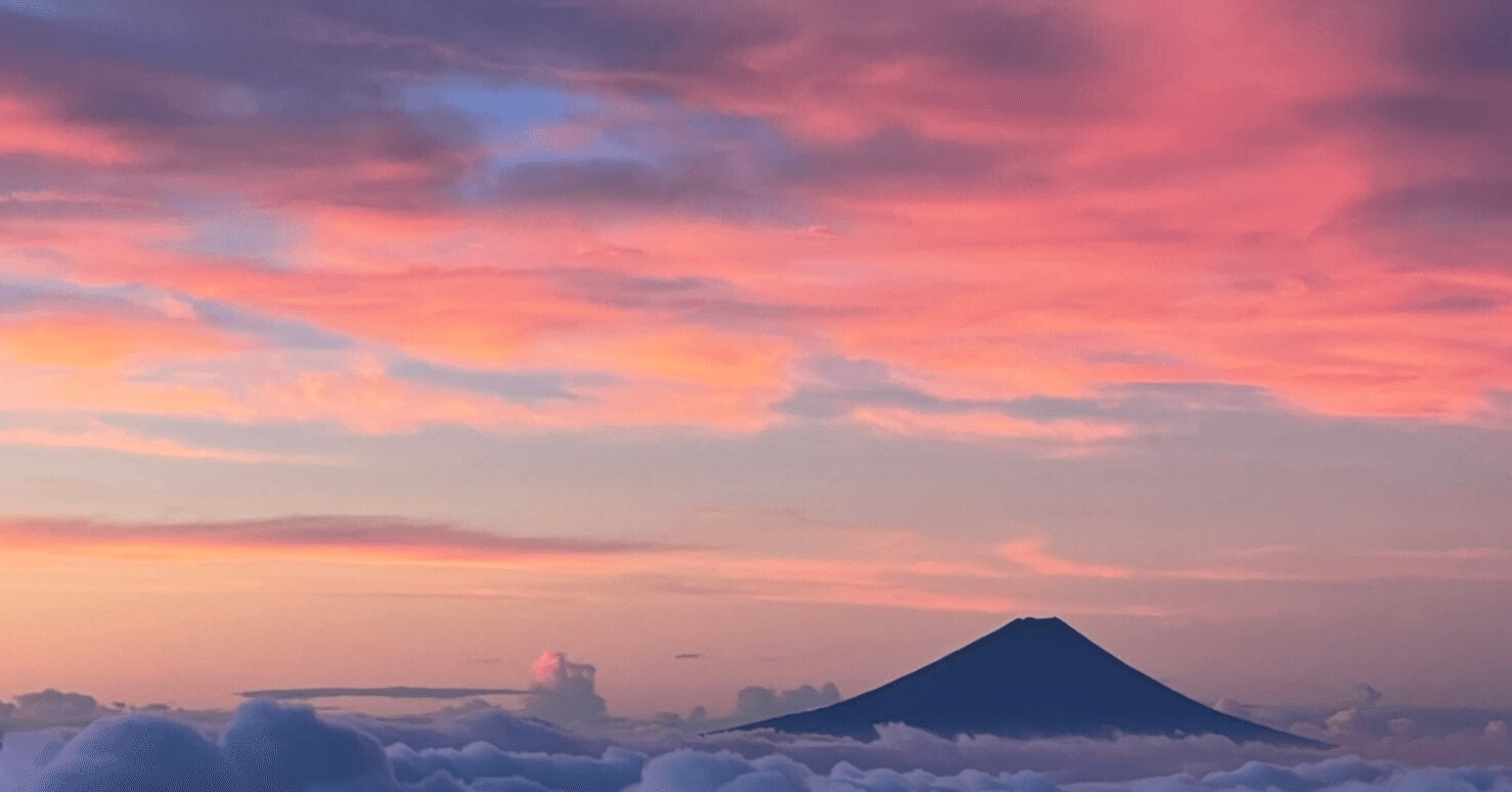 １月７日２１時、メディシノバ は６日はあんなに売りあおりしていたのに、７日は、機関の？売りあおり仲間が、誰一人投稿していない。(一人だけはこの後、投稿、私の記事をみたかなｗ）これはすごく異常な状況。６日ナ｜kuronekomarimo