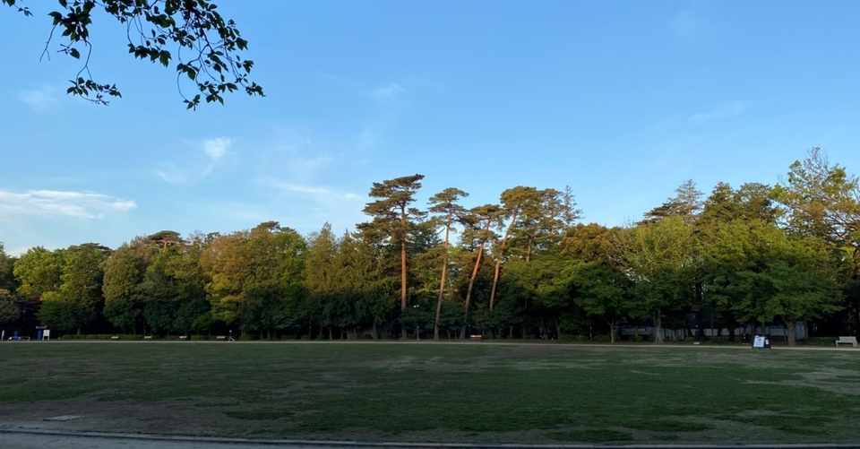 永遠に付きまとう呼び方問題 稲本稲三 Note