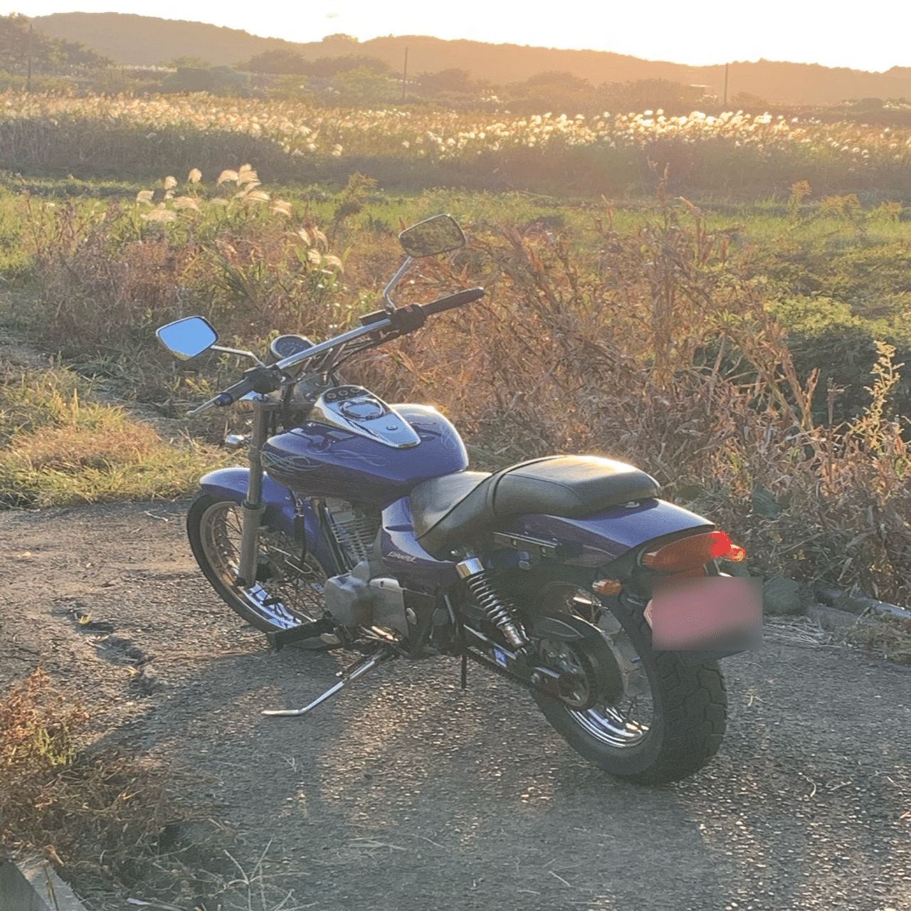 エリミネーター125 実働調子良好 インプレ エリミネーター(125)｜Karate.Vagabond