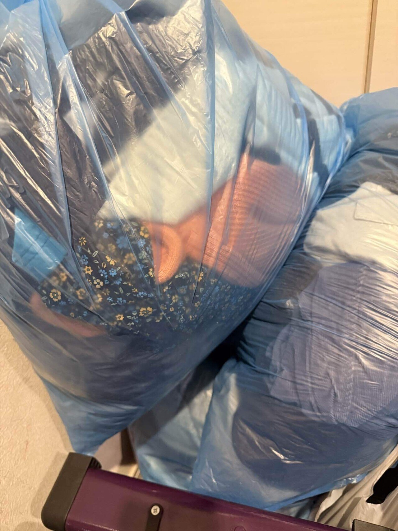 断捨離記録78捨て｜hanatome