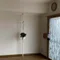 藤