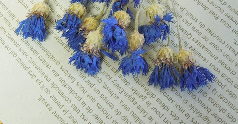 小説 アルジャーノンに花束を について書く いっちゃん Note