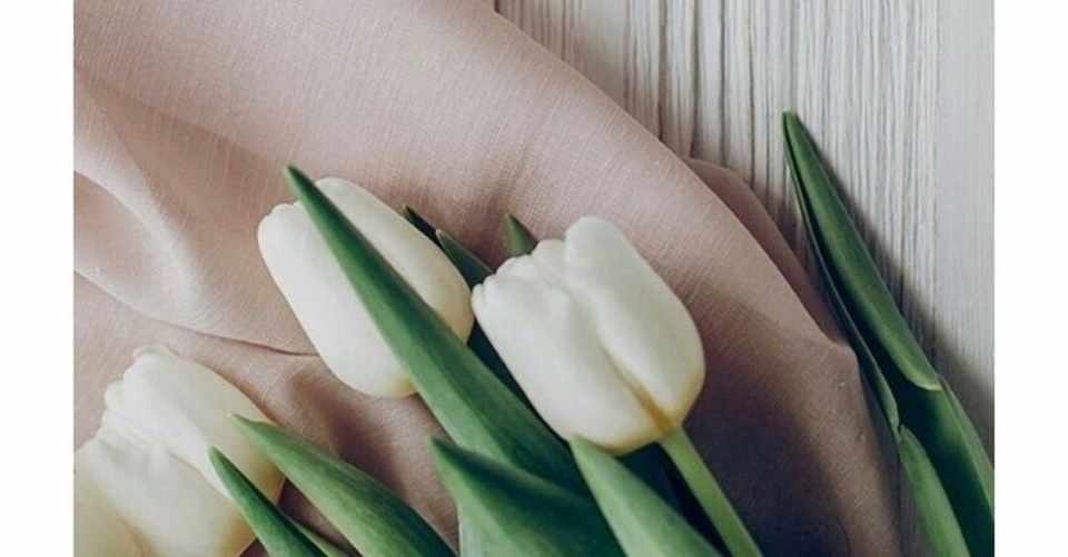 母の日 お母さんに感謝の気持ちを伝えたくなる映画3選 Momoko Note