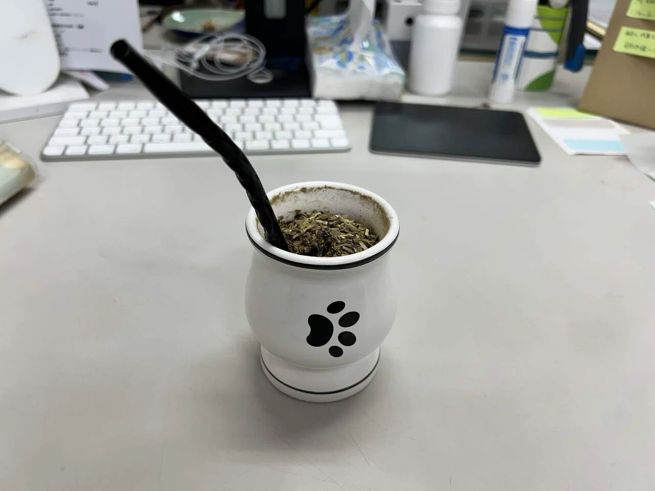 1日1つ新しい体験をしてみる。まずはマテ茶を飲んでみた。｜よざっち