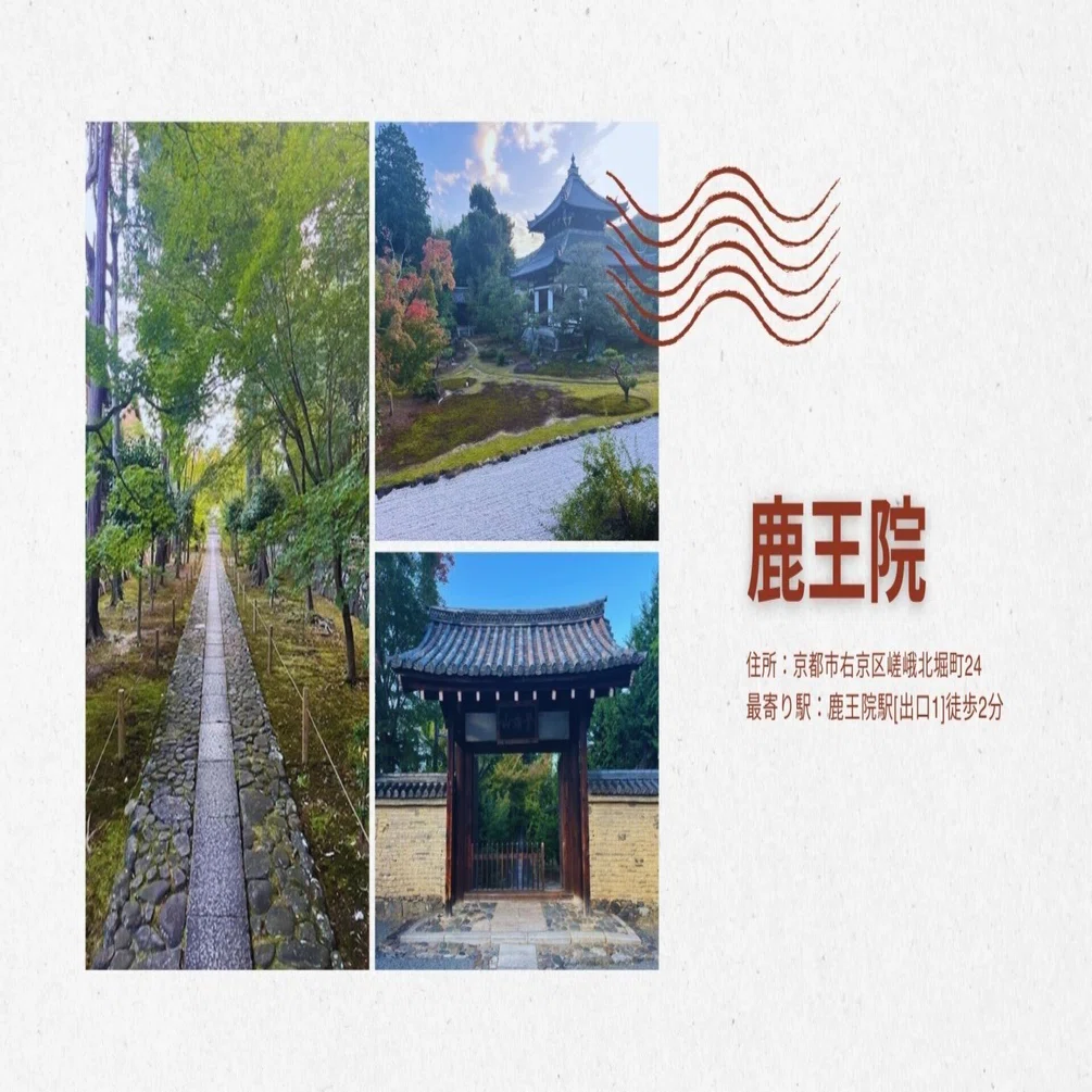 古い瓦を幾重にも埋め込んだ瓦土塀も味わい深い『鹿王院』をご案内