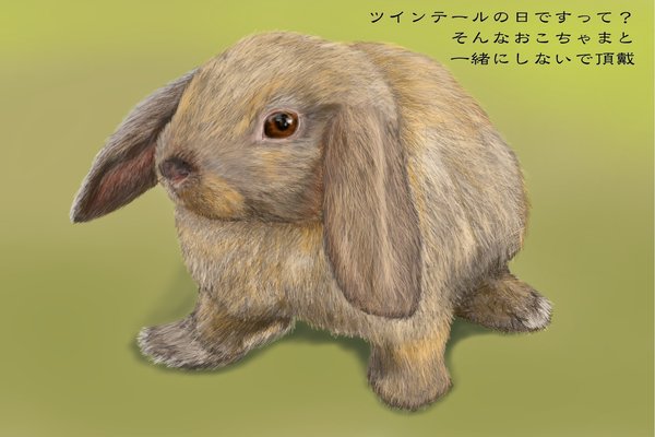 リアル系イラスト うさぎ Angelrabbits Note