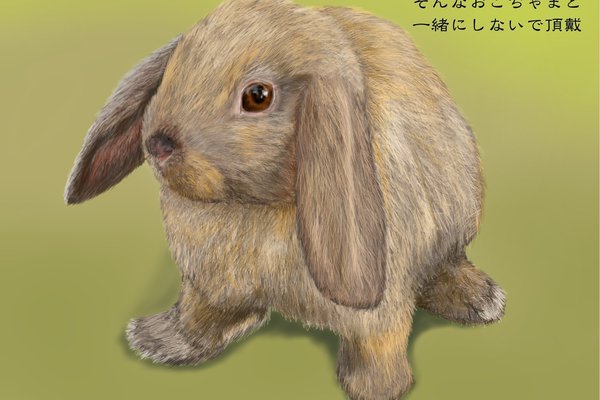 リアル系イラスト うさぎ Angelrabbits Note リアル系イラスト うさぎ Angelrabbits Note