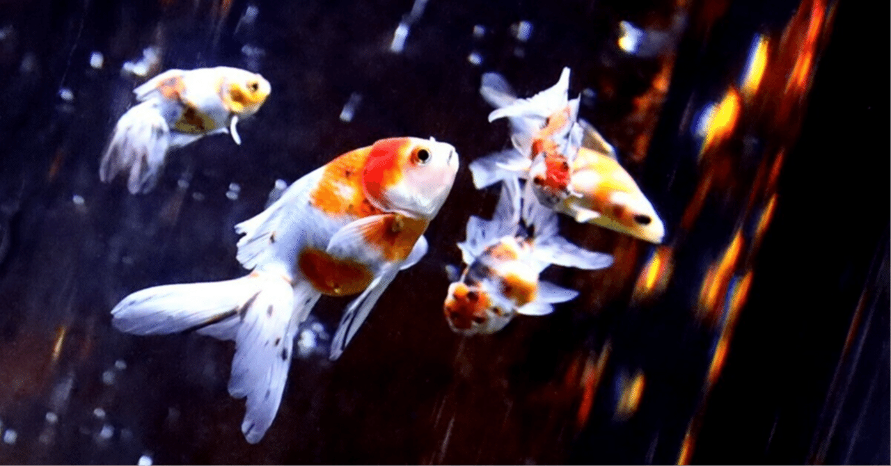 読書 評価レビュー】川口宏之 『有価証券報告書で読み解く 決算書の「超速読術」』は役に立つか？〜各章の有用度や効率的な読み方など〜｜無色