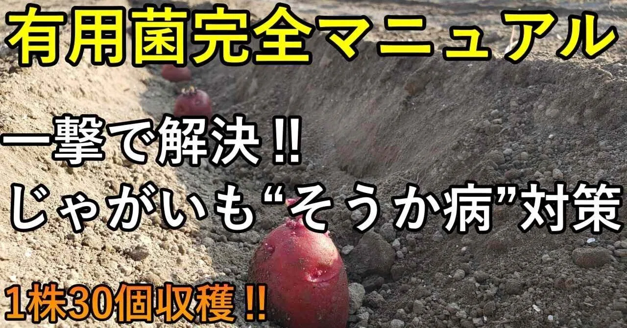 ジャガイモ そう か 病 対策