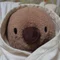 すずき