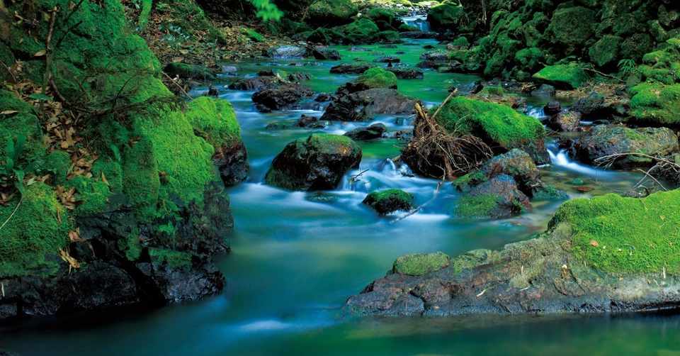 醒井峡谷 琵琶湖国定公園 霊仙山を仰ぐ 静かなる清流の里 滋賀県米原市 ほんのひととき Note