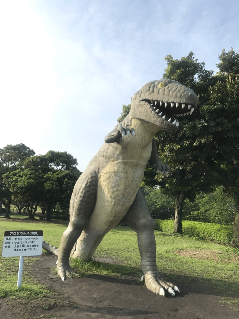 14 鹿児島県旅行記 10日間車中泊で九州一周 0501 あゆぼー Note