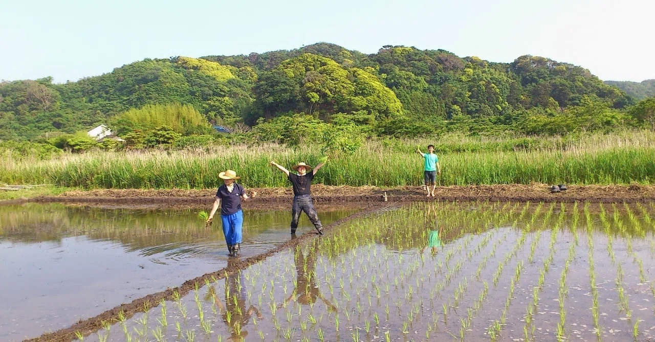 休耕地を耕さずに、ゆっくりと田んぼにかえす方法①|HiROCO