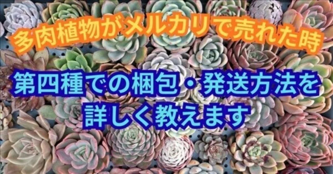 多肉植物がメルカリで売れた時の第四種梱包方法を写真を使って詳しく