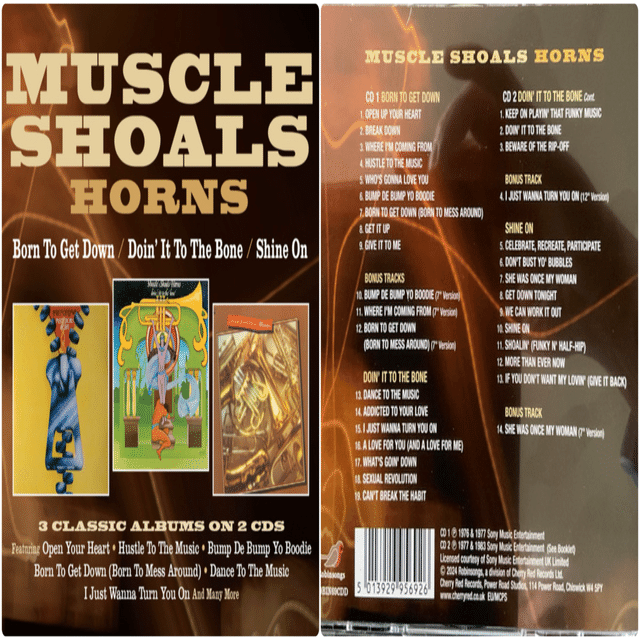 マッスル・ショールズ・ホーンズのコンピレーション盤｜Takeshi Tada
