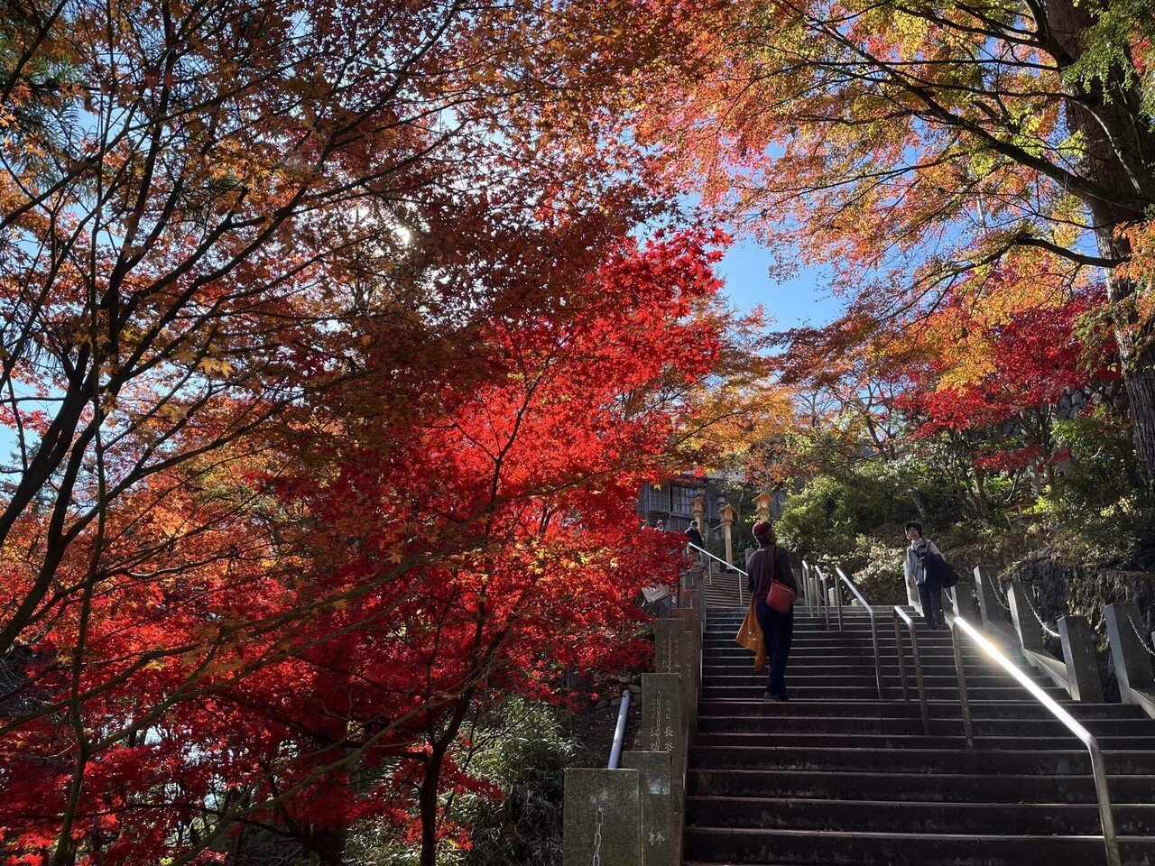716 紅葉ハイキング in 御岳山｜市町村紀行（かずとらべる）
