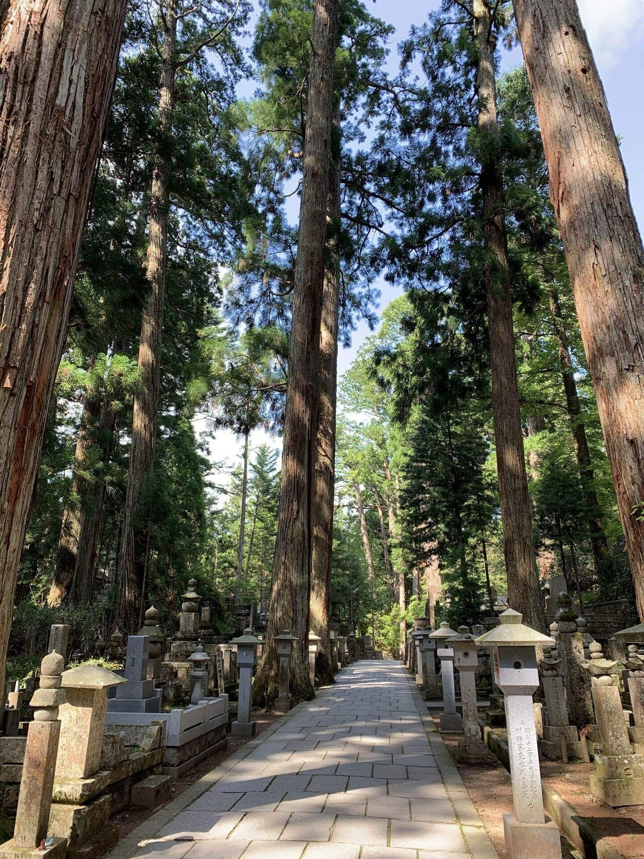 高野山で日本の美を堪能する｜no_art_no_life