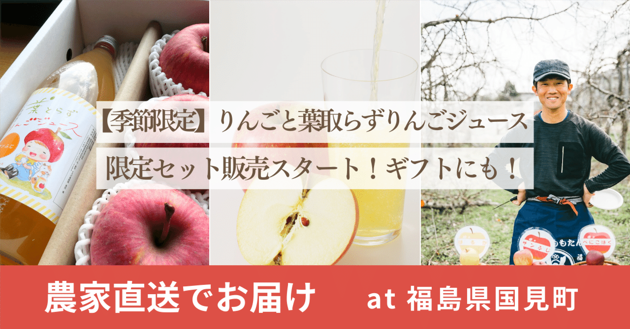 しいりんさん専用　21シリーズ　セット ギフトセットB-1【ご予約承り中】 | 大島農園 りんご専門