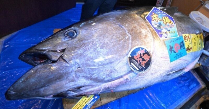 すしざんまい「5億円の初競りマグロ」は何への投資だったのか？マーケターとして考察してみた。