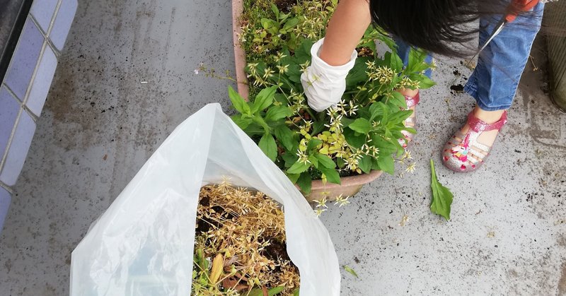 Vol 22 土作り プランター野菜道 オットが家事 育児に精を出してみた オットセイ オットが家事 育児に精を出してみた Note