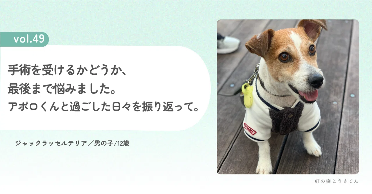 Vol.49｜手術を受けるかどうか、最後まで悩みました。アポロくんと